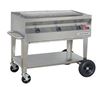 silver giant 36" grill